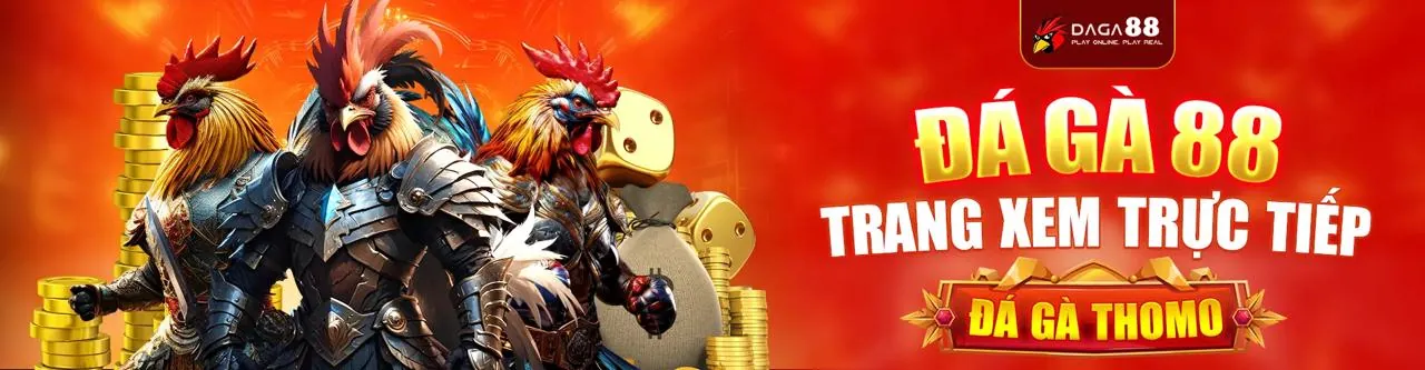 Tổng quan về nền tảng 678wwin với các loại hình giải trí đa dạng