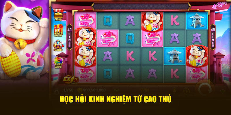 Học hỏi kinh nghiệm từ cao thủ